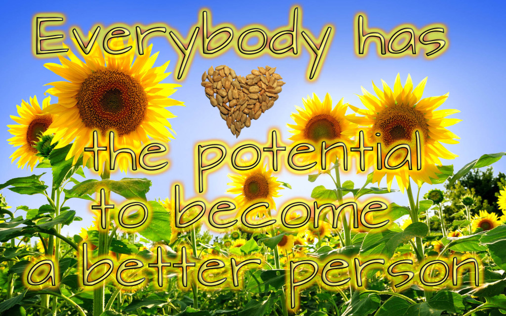 Sunflower potential